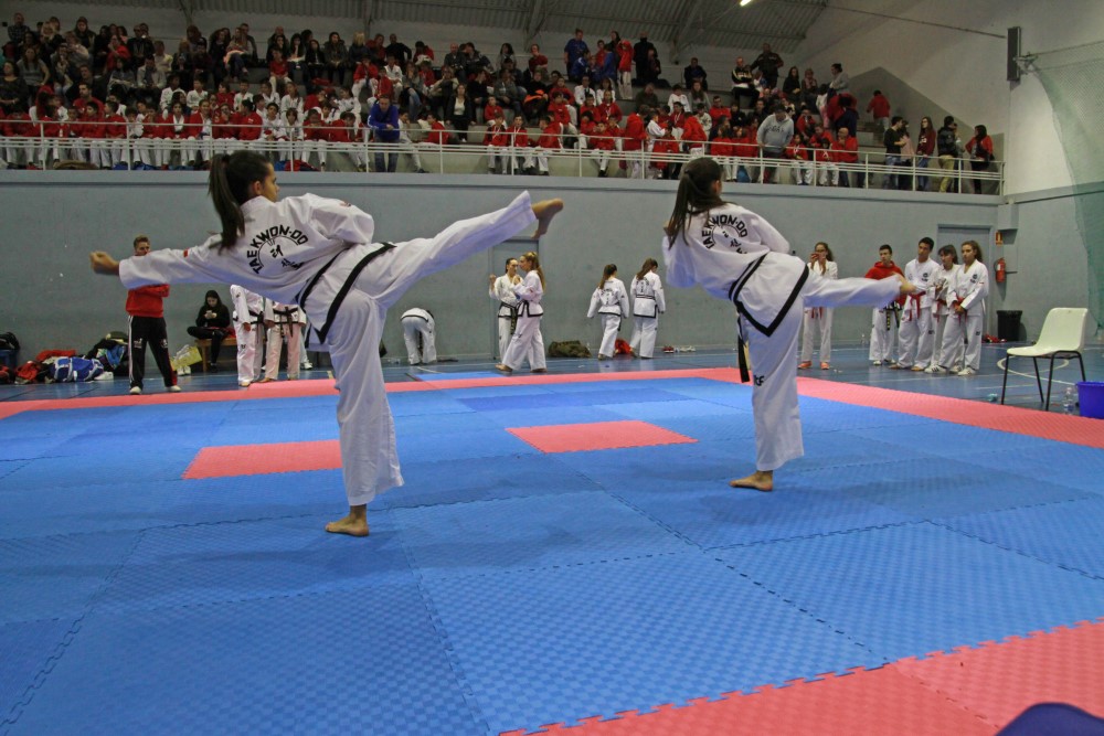 III Copa Seúl (164).jpg